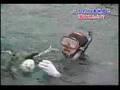 Summers' Japanese Style Tour in Korea- Fukawa Dives in Cheju