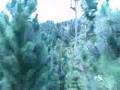 Camp-Sabros-Zipline
