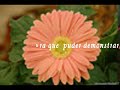 loucas-trilhas.html
