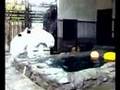 しろくま動画5