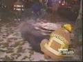 Rescue 911 - Episode 421 - Racehorse Rescue (Part 2 of 2)