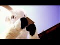 Bypass FX - The Basement (official music video)