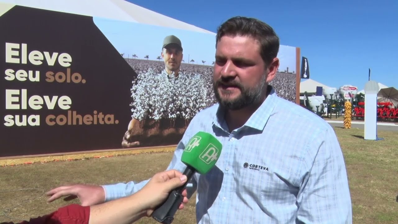 Produção de algodão é destaque no oeste baiano