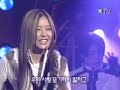 koyote passion