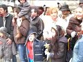 Domingo de entroido en Viana (2008)