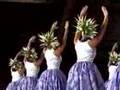Hula Halau o' kamuela