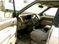 Abandoned Cars Abound