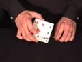 videos de Boris Wild Magic - 