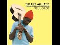Seu Jorge - Space Oddity