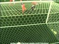 World Cup 2002 top 20 goals