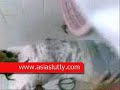 Click here to watch this video cewek rabaan rekod tika mandi kasi cowok