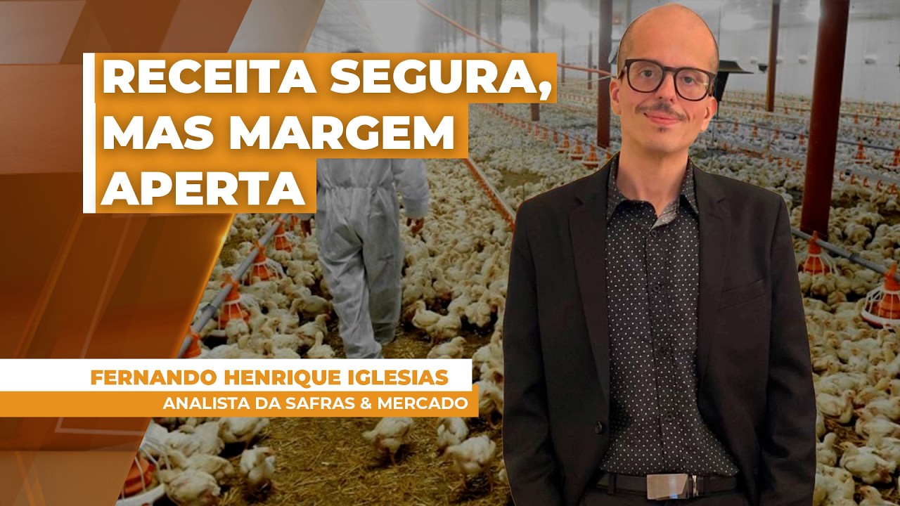 GRANJEIROS - RECEITA SEGURA, MAS MARGEM APERTA