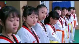 Korea: Pull and Twist Tae Kwon Do - Hilarious!