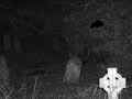 SCARY GRAVEYARD CREATURE SCARY GRAVEYARD CREATURE