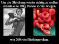 Warum Junge-Erde-Kreationisten Gravitation leugnen müssen, Teil III