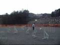 videos de Pippin Agilitytraining 29th November 2008