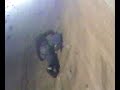 Rock Climbing