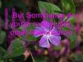 Welcome back violetkitty411