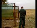 Kerecsensólyom visszaengedése a természetbe