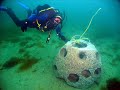 Moncton Dive Club Promo