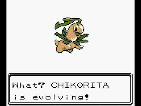 bayleef