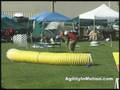 videos de Wynn STD Oct 11 2008