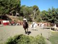 Entrenamientos Equus Catalonia 2009 Concurso de Carruseles Hipica La Sentiu.