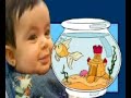 dj_Jwan Princess Jennan Cenan ????   Efrin kurdefrin.com