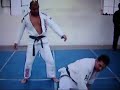 YUDANSHA FIGHTING SYSTEM