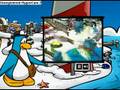CP'S ADD