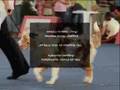 12ª Exposição Canina Nacional de Aveiro