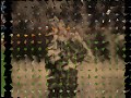 Ronaldinho,ronaldo,ibrahimovich, henry,van basten more trick Ronaldinho,ronaldo,ibrahimovich, henry,van basten more trick