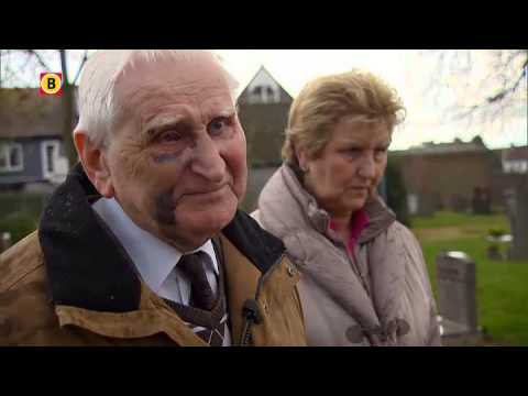 Bejaarde man (87) op begraafplaats Eindhoven in elkaar geslagen