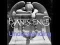 teledysk, klip, Evanescence,- Understanding