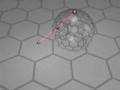 Compactness and Stereographic Projection
