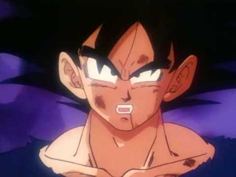 dbz yaoi