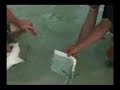 Sharkdefense Magnet Video 2 Sharkdefense Magnet Video 2