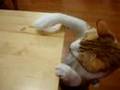 おやつの為に必死になる猫 It's too far!