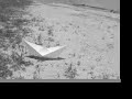 marduck
