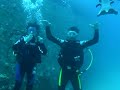 Plong�e sur le site Stella Maru 2005