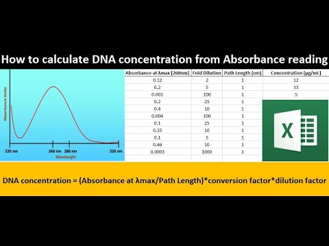 video-linktoworks-How to calculate DNA concentration in Excel from...