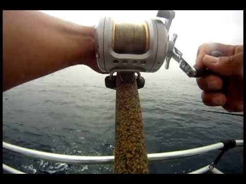 DAIWA SALTIST - 45 to 50 pound Bluefin tuna I tangled with on my annual 2 day Torres charter, on board The OuterLimits, Sea Forth Landing San Diego Ca. Shot with a GoPro mou...