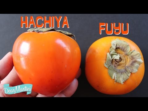 how to harvest fuyu persimmons