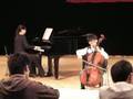 Rasch und mit Feuer, Fantaisies for cello & piano, op73