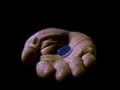 TRIPPY BLOC PARTY VIDEO FOR STONERS