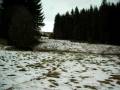 videos de troche błota cz1