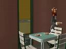 Los sims 2...DIARIO: Capitulo 21 Última salida