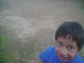 empedando al perro