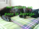 Mouri, un añito en casa Mouri, un añito en casa