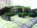 Mouri, un añito en casa